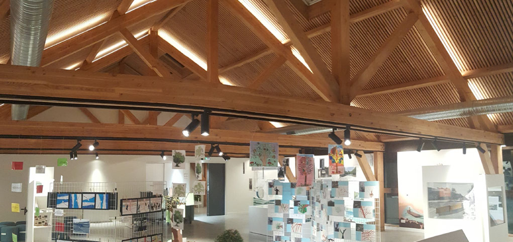 Mise aux normes électriques Martres-Tolosane